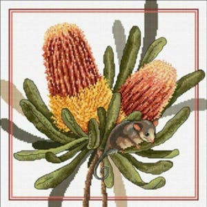 Könnte beinhalten: Kreuzstichmuster mit zwei Banksia-Blüten in Orange und Gelb, umgeben von grünen Blättern. Eine kleine, braune und graue Maus sitzt zwischen den Blumen. Das Kunstwerk ist mit einem roten Rahmen versehen.