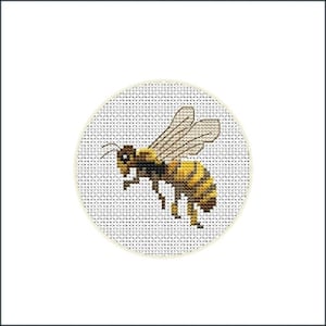 May include: A yellow and brown bee with transparent wings is flying in a white circle. The bee is in focus and the background is blurred.
