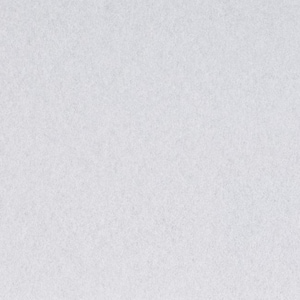 May include: A plain white background with a subtle grainy texture.