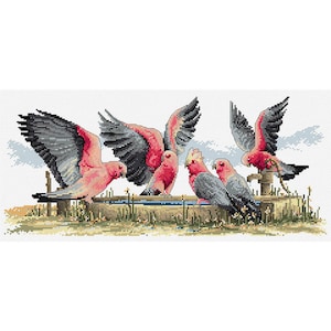 Puede incluir: Diseño de punto de cruz con seis cacatúas Galah rosas y grises cerca de un abrevadero. Las aves tienen las alas extendidas, mostrando sus plumas rojas y negras. La escena se desarrolla sobre un fondo blanco con un toque de azul.