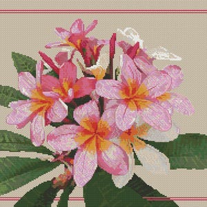 Rosa Frangipani Kreuzstichpackung: Mary Elizabeth Design, DMC-Faden