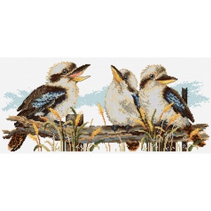 Könnte beinhalten: Drei Kookaburras, eine Art Eisvogel, sitzen auf einem Ast. Die Vögel sind braun, weiß und blau mit gelben Schnäbeln. Sie sind von grünem Gras und braunen Ästen umgeben.