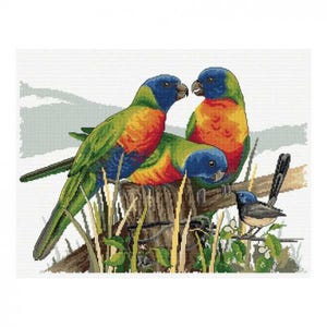 Lots of Lorikeets Counted Cross Stitch Kit by Country Threads 14ct aida, DMC threads 34 x 44cm FJ-1072