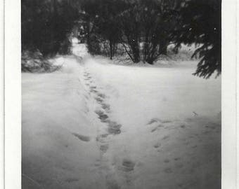 Old Photo Footsteps in the Snow Pathway 1950s Photograph Snapshot Vintage