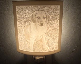 Lámpara de noche/Recuerdo con retrato de mascota, bebé o familia, con litofanía fotográfica personalizada.