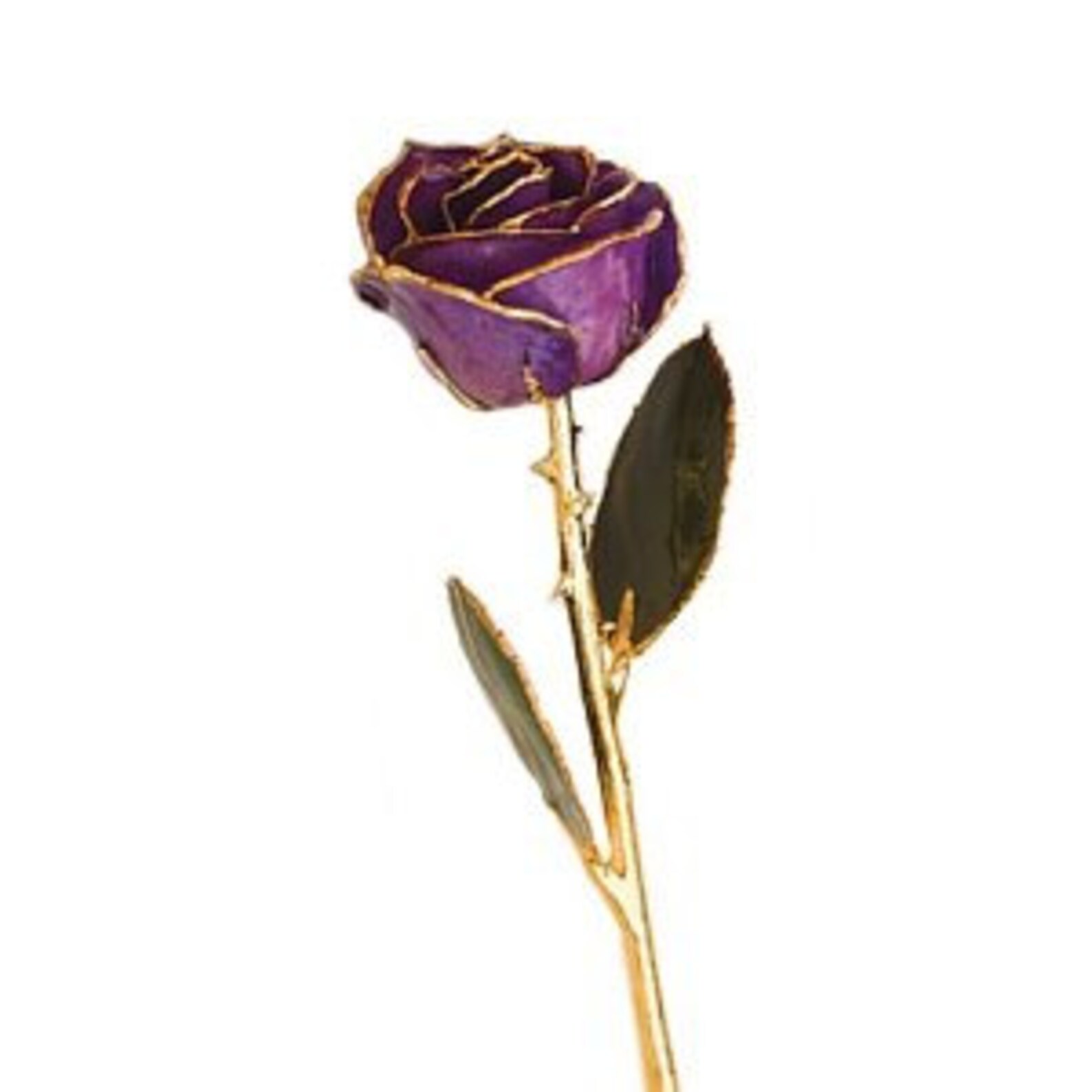 24KT Purple Gold Dipped Rosé Etsy