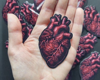 Anatomical Heart - Die-Cut Vinyl Sticker