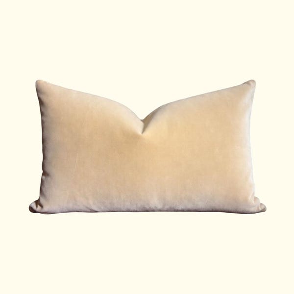 Biege Velvet Pillow Cover