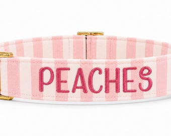 Pink Striped Dog Collar | Personalized Embroidered Pet Collar