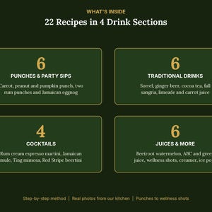 May include: A dark green informational graphic titled WHAT'S INSIDE 22 Recipes in 4 Drink Sections. It lists 6 Punches & Party Sips, 6 Traditional Drinks, 4 Cocktails, and 6 Juices & More with specific examples and bottom text.