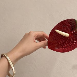 May include: A gold-toned metal bracelet with a flexible, ribbed link design and a rectangular clasp, worn on a wrist near a glossy, heart-shaped deep red anthurium flower featuring a prominent, textured, pale yellow spadix in the center.