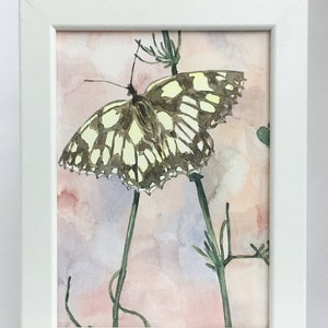 Schmetterling