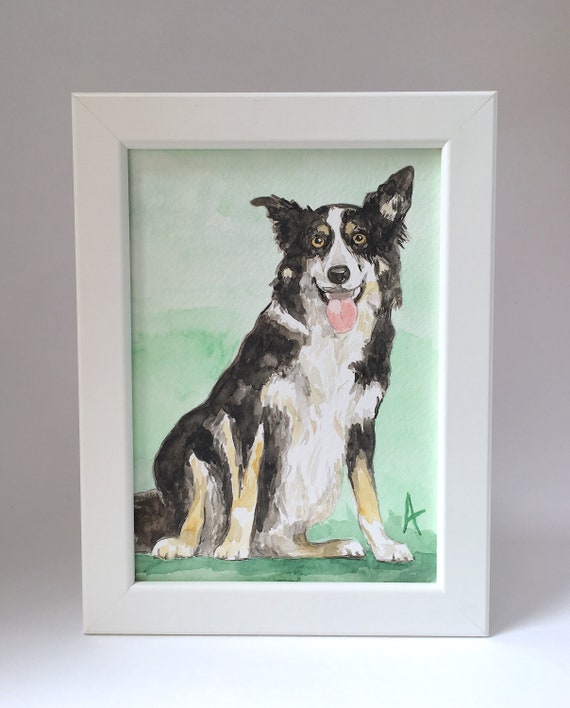 Local Dog Daycare Centers Experienced With Border Collies: Expert Care Tips