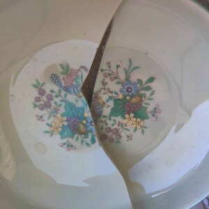 May include: A white ceramic plate with a floral design is broken in half. The plate has a green rim and a floral pattern with pink, yellow, and blue flowers.