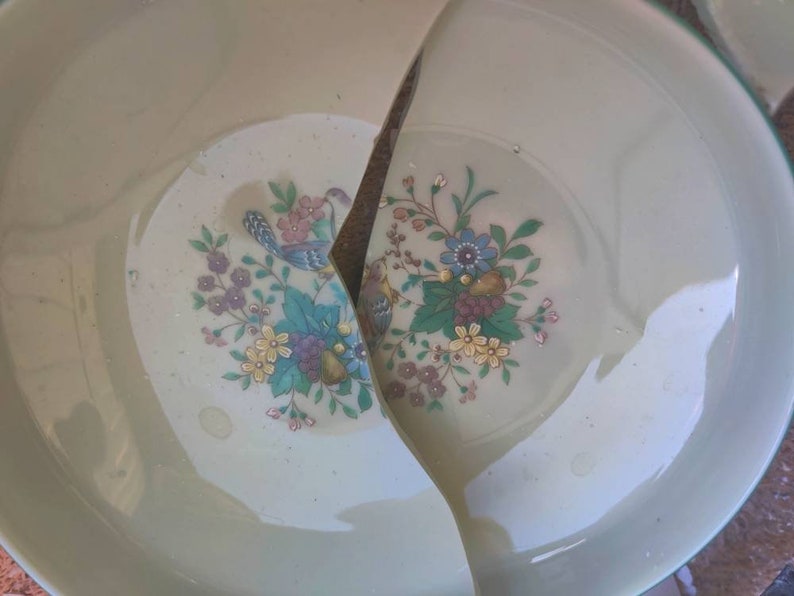 May include: A white ceramic plate with a floral design is broken in half. The plate has a green rim and a floral pattern with pink, yellow, and blue flowers.