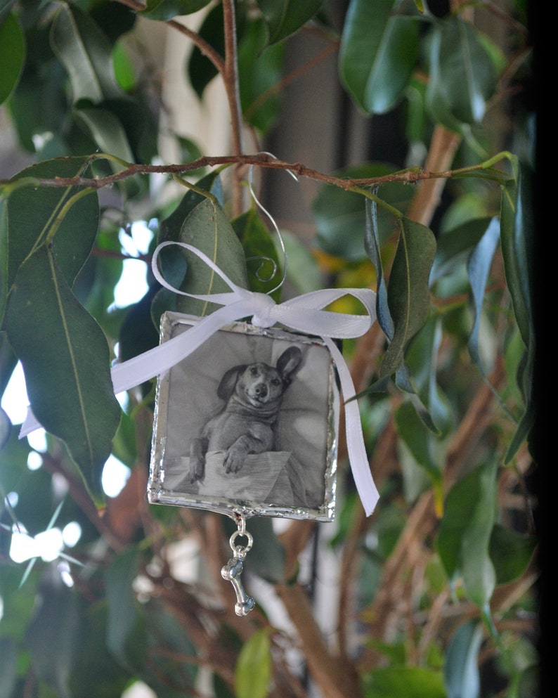 May include: A silver ornament with a white ribbon and a black and white photo of a dog inside. The ornament has a silver bone charm hanging from it.