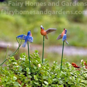 May include: Three miniature bird figurines on green metal stakes. The birds are blue and orange with a green background.