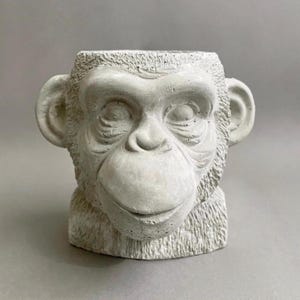 Può includere: Un vaso in cemento grigio chiaro a forma di testa di scimpanzé. La scultura presenta una superficie ruvida che imita il pelo, orecchie prominenti, un naso largo e occhi infossati. La parte superiore della testa è aperta e cava.
