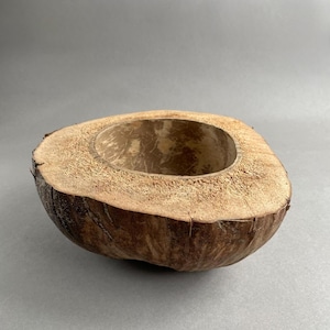 Könnte beinhalten: Eine braune Kokosnussschale mit einer rauen, strukturierten Außenseite und einem glatten, ausgehöhlten Inneren. Der Rand der Schale zeigt den faserigen, hellbraunen Querschnitt der Kokosnusshülle und bildet eine natürliche, organische, unregelmäßige Form.