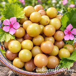 May include: A bowl filled with round, pale yellow and light pink grapes, accented by vibrant green leaves and two bright pink five-petaled flowers. The bowl features a decorative pattern along the rim, holding the fresh fruit arrangement.
