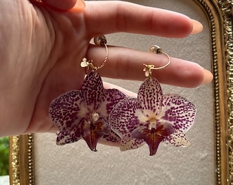 Pendientes de orquídeas naturales
