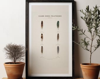 Game Bird Feathers Print, Victorian Natural History Wall Art (Digital Download)
