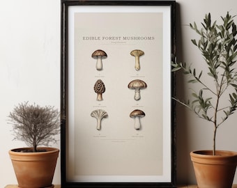 Edible Mushroom Chart Print, Antique Victorian Natural History Art (Digital Download)