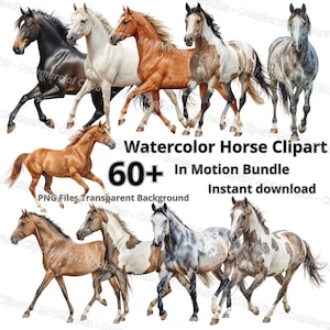 Könnte beinhalten: Eine digitale Sammlung von Aquarell-Illustrationen von Pferden verschiedener Rassen in Bewegung. Der Text lautet Watercolor Horse Clipart 60+ In Motion Bundle Instant download PNG Files Transparent Background. Die Pferde zeigen verschiedene Fellfarben.