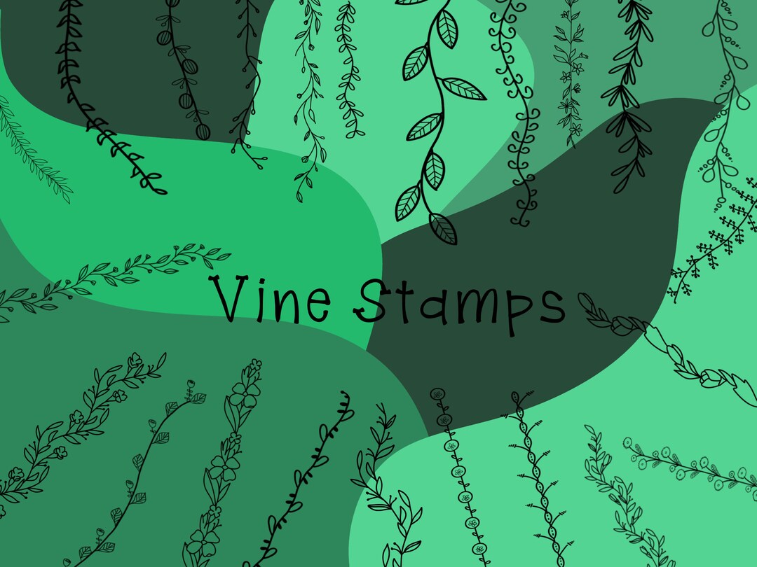 Vine Doodles Procreate Stamps - Etsy
