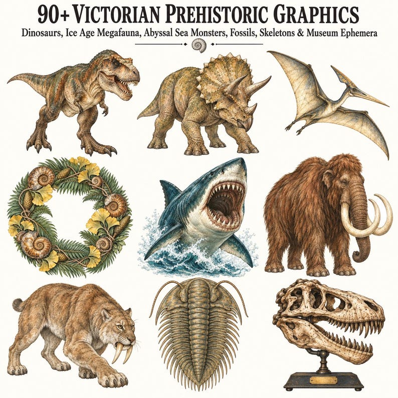 Victorian Prehistoric Museum — listing image 2 of 10