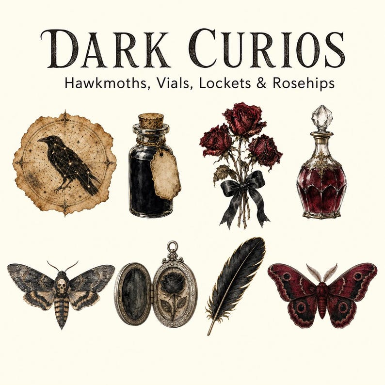 The Victorian Raven — listing image 5 of 9
