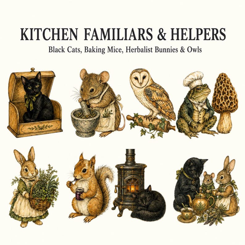 Witchy Kitchen & Herbalist — listing image 3 of 9