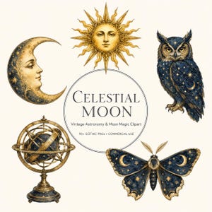 Può includere: Una collezione di illustrazioni digitali a tema celeste che include un sole dorato con volto, una luna crescente con volto, un gufo blu scuro, una sfera armillare e una falena, con stelle dorate e il testo CELESTIAL MOON.
