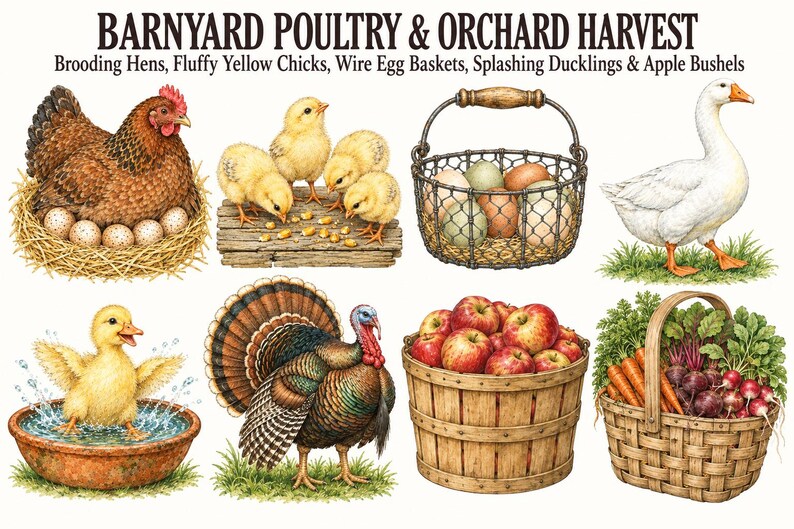 Victorian Farm & Highland Cattle — listing image 5 of 10