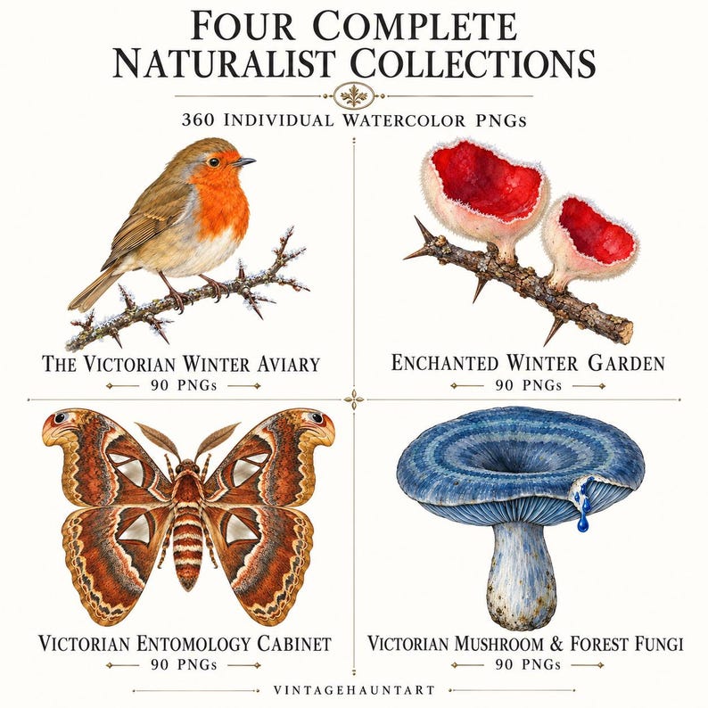The Victorian Winter Naturalist Archives — listing image 2 of 7