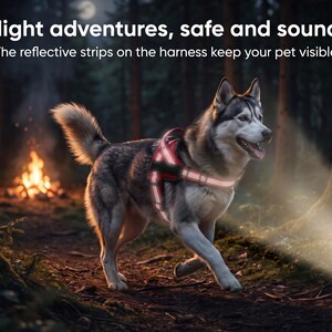 May include: A grey and white husky dog wearing a red harness with reflective strips. The text reads: Night adventures, safe and sound. The reflective strips on the harness keep your pet visible. The dog is in a forest setting at night.