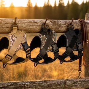 May include: Three dog harnesses in tan camouflage, green camouflage, and solid black, each featuring adjustable straps, black plastic buckles, and a metal D-ring. A brown leather leash with a metal swivel snap hook hangs beside the harnesses.