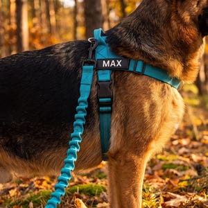 May include: A teal dog harness with a black buckle and a matching teal bungee leash. The harness features a rectangular black patch with the white text MAX printed on it. The gear is worn by a German Shepherd dog with black and tan fur.