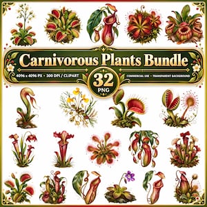 32 PNG Carnivorous Plants Clipart Bundle, Venus Flytrap, Pitcher Plant, Sundew (Digital Download)