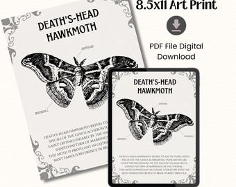 Moth Anatomy Art Printable - Vintage Gothic Creature Print - Dark Academia Wall Decor, Haunting Diagram PDF Digital File