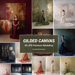 Gilded Canvas Digital Backdrops, Maternity Studio Backgrounds (65 JPG)