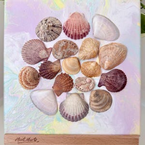 Original Seashell Artwork “Seaside Solace” | Australian Shells | Coastal Wall Art | Beach House Decor | Ocean-Inspired Gift