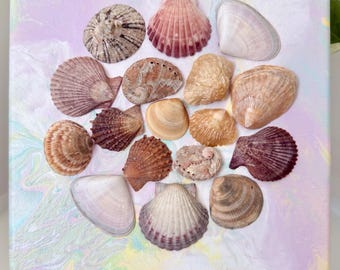 Seashell Artwork on Canvas | Coastal Wall Art Decor or Gift