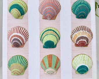 Seashell Artwork on Canvas | Coastal Wall Art Decor or Gift