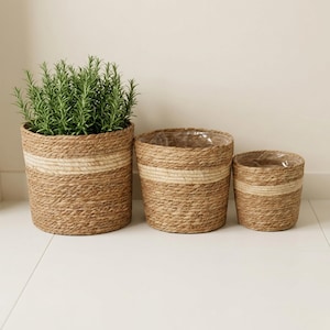 Cattail Woven Basket Planter with Plastic Lining - 2 Sizes
