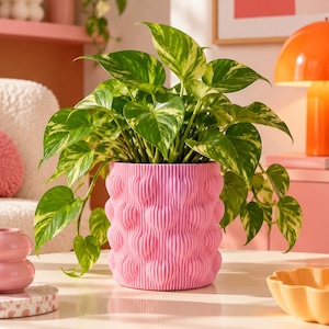 Può includere: Un vaso per piante cilindrico di colore rosa acceso caratterizzato da un motivo ripetuto di cuori in rilievo sulla superficie esterna. Il vaso contiene una rigogliosa pianta di pothos con foglie variegate a forma di cuore verde e crema.