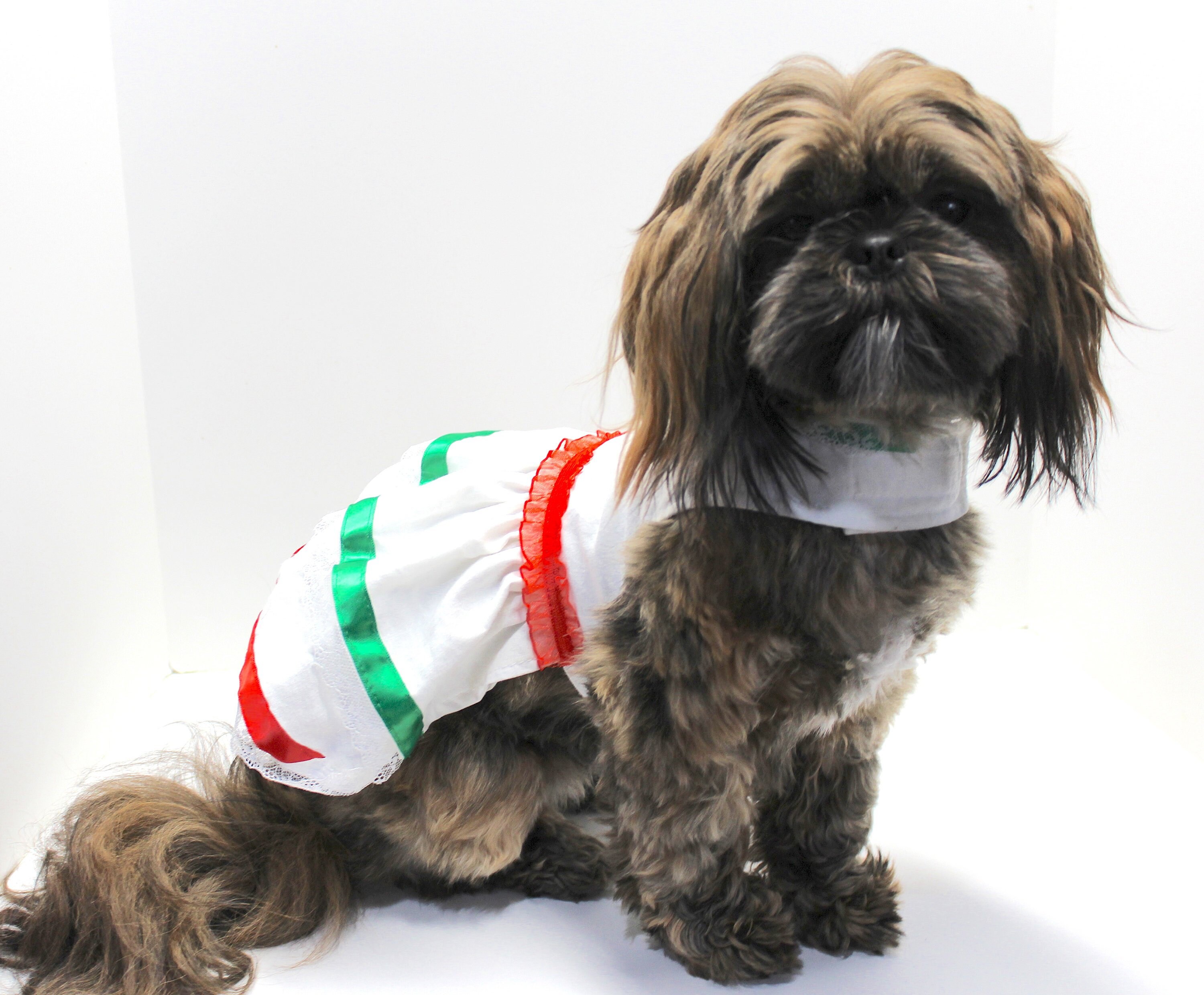 Dog Dress Cinco De Mayo Mexican Dogs Dresses Designer - 
