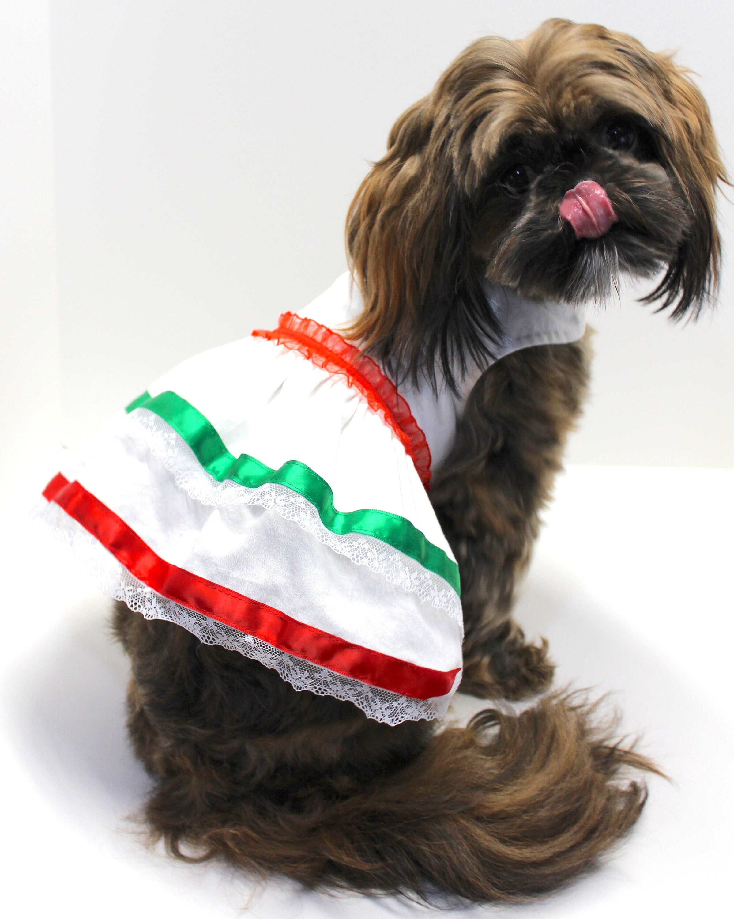 mexican dog dress