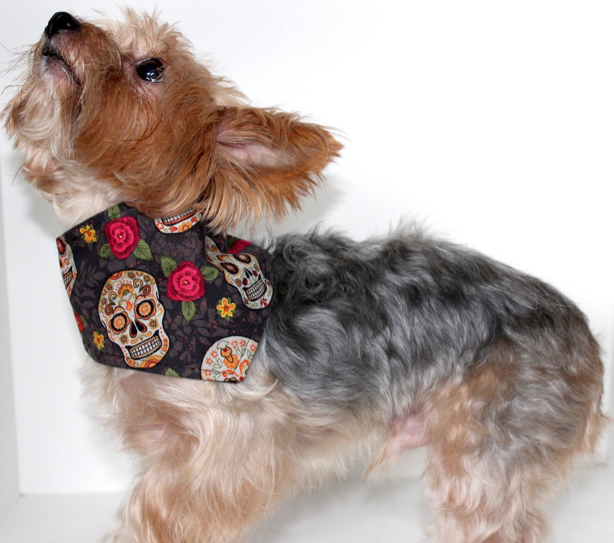 Small Sale: Dog Bandana Sugar Skull Rose Print fashion holiday dog clothes tie-on Day of the Dead dia de los Muertos or Halloween