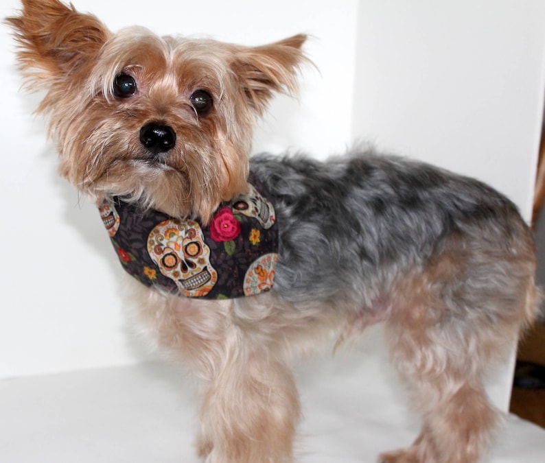 Small Sale: Dog Bandana Sugar Skull Rose Print fashion holiday dog clothes tie-on Day of the Dead dia de los Muertos or Halloween
